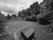 Exp. 1749 Garten