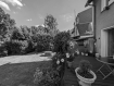 Exp. 1749 Terrasse und Garten